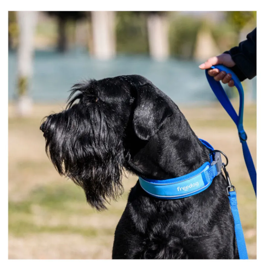 Freedog Cool Pro Tech Collar Refrescante Azul para perros