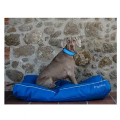 Freedog Cool Pro Tech Collar Refrescante Azul para perros