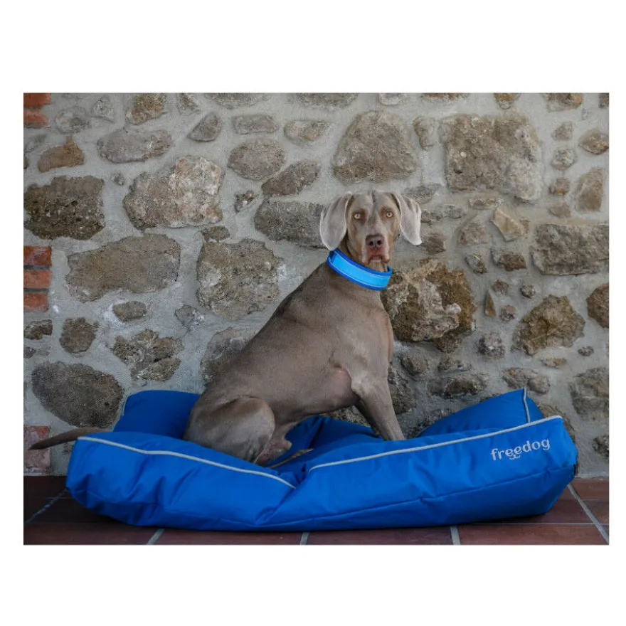 Freedog Cool Pro Tech Collar Refrescante Azul para perros