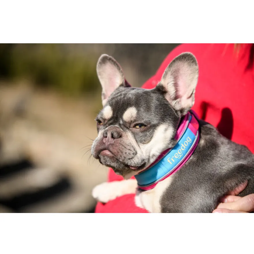 Freedog Cool Pro Tech Collar Refrescante Fucsia Deportivo para perros