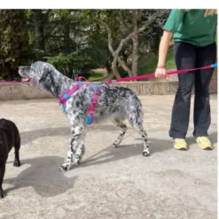 Freedog Cool Pro Tech Correa Refrescante Fucsia para perros