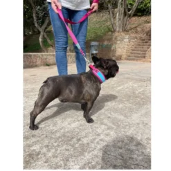 Freedog Cool Pro Tech Correa Refrescante Fucsia para perros