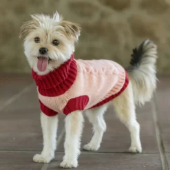 Freedog Jersey Elsinor para perros