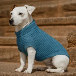 Freedog Jersey Frapp Azul para perros