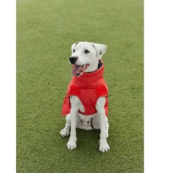 Freedog Oymyakon Rojo Abrigo Impermeable con Arnés para perros
