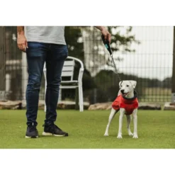 Freedog Oymyakon Rojo Abrigo Impermeable con Arnés para perros