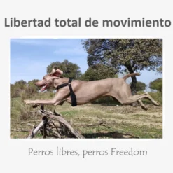 Freedom and Color Arnés Anti-tirones Negro para perros