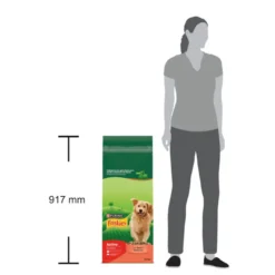 Friskies Active Pienso para perros