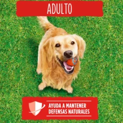 Friskies Adult Buey y Verduras pienso para perros