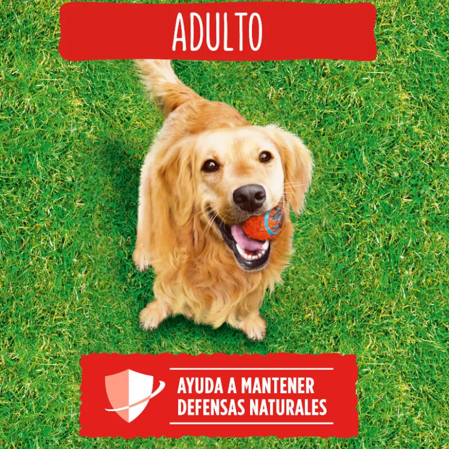 Friskies Adult Buey y Verduras pienso para perros