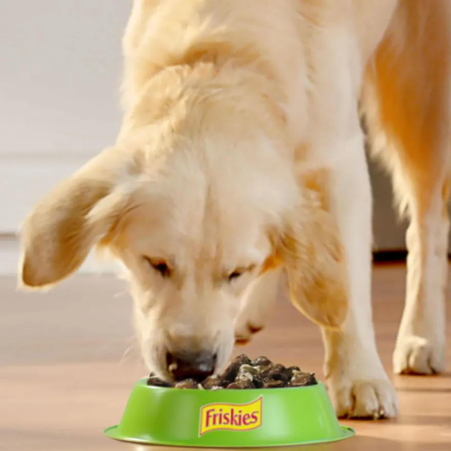 Friskies Carne en Salsa sobre para perros