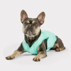GF Pet ElastoFit Ice Vest Chaleco Refrescante para perros