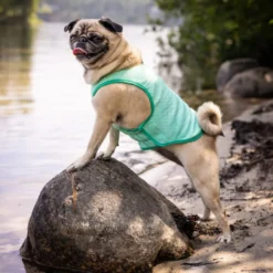 GF Pet ElastoFit Ice Vest Chaleco Refrescante para perros