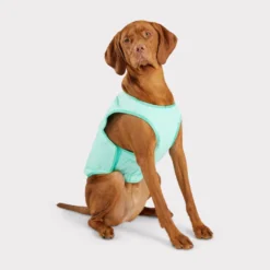 GF Pet ElastoFit Ice Vest Chaleco Refrescante para perros