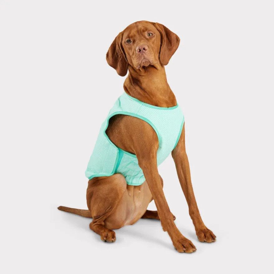GF Pet ElastoFit Ice Vest Chaleco Refrescante para perros