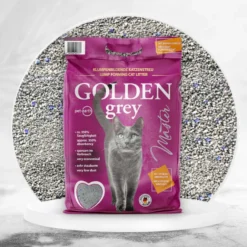 Golden Grey Master Arena Aglomerante para gatos