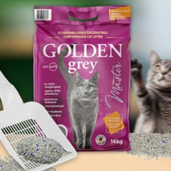 Golden Grey Master Arena Aglomerante para gatos