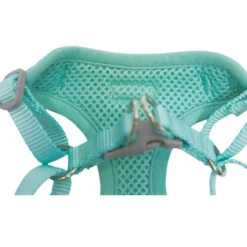 Gotoo Arnés ajustable estampado estrellas verde para cachorros