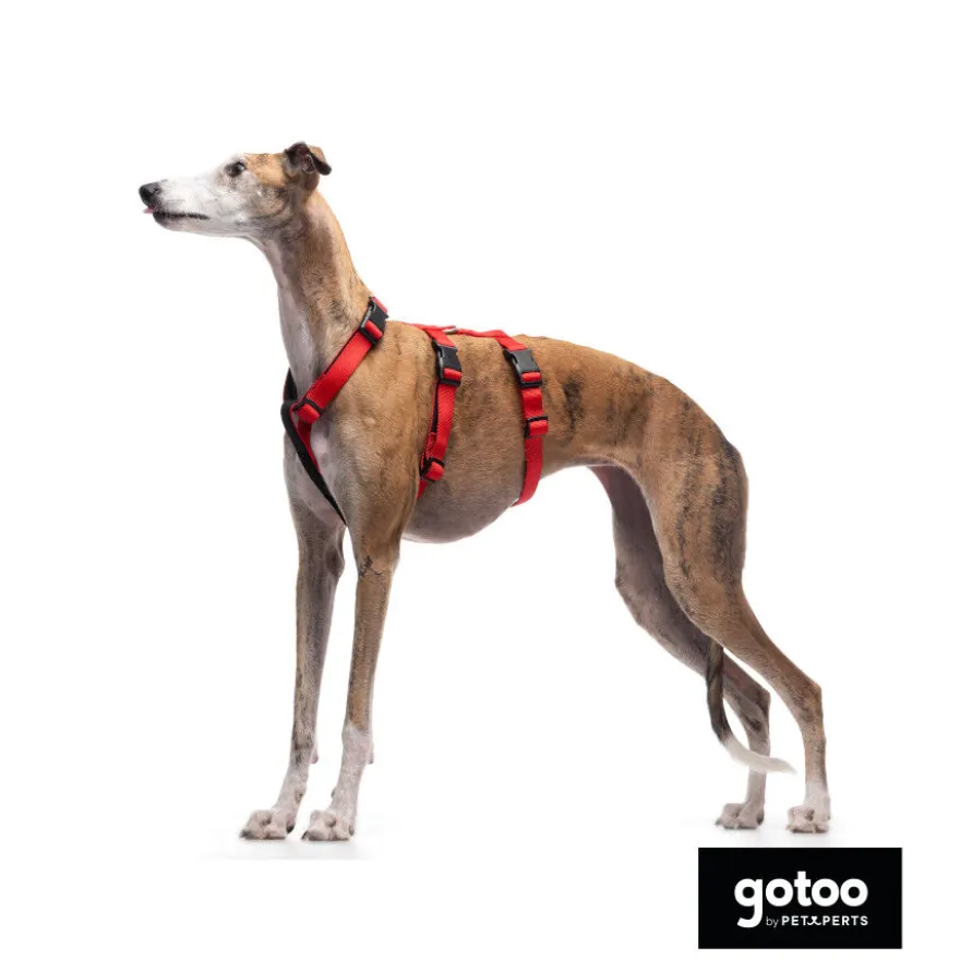 Gotoo Arnés antiescape rojo para perros