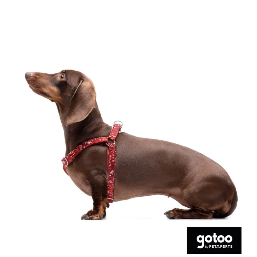 Gotoo Arnés estampado cachemira rojo para perros