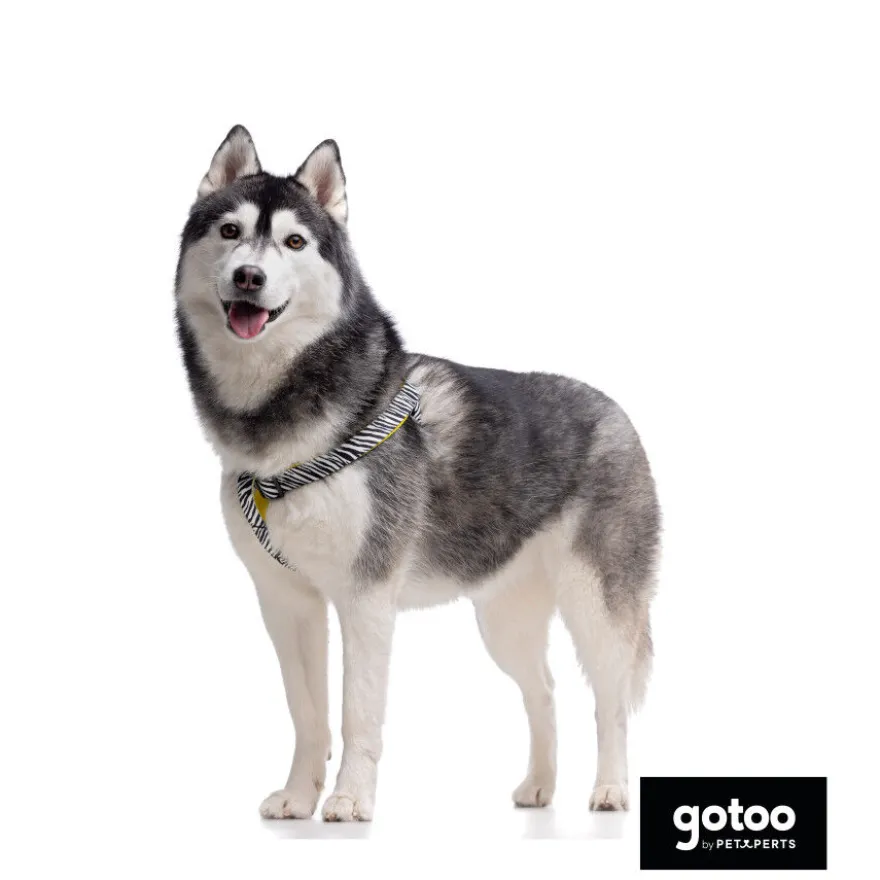 Gotoo Arnés estampado zebra para perros