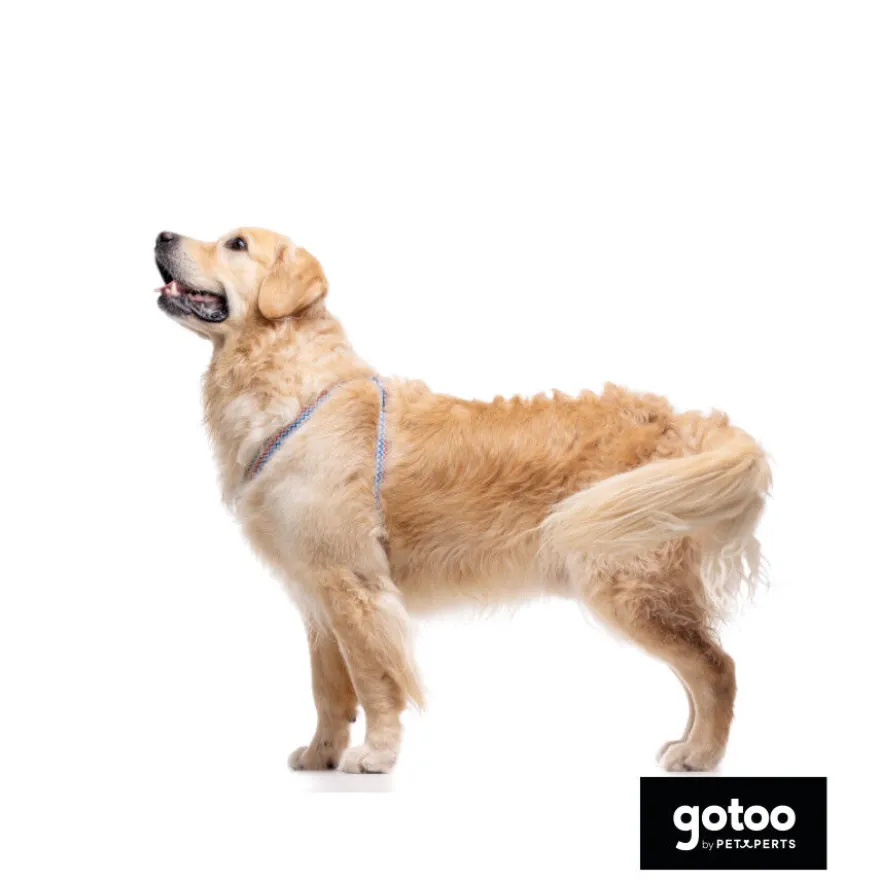 Gotoo Arnés rayas zig- zag para perros