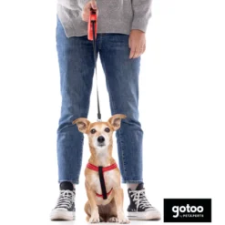 Gotoo Arnés reflectante de neopreno rojo para perros
