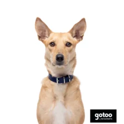 Gotoo Collar Biothane azul para perros