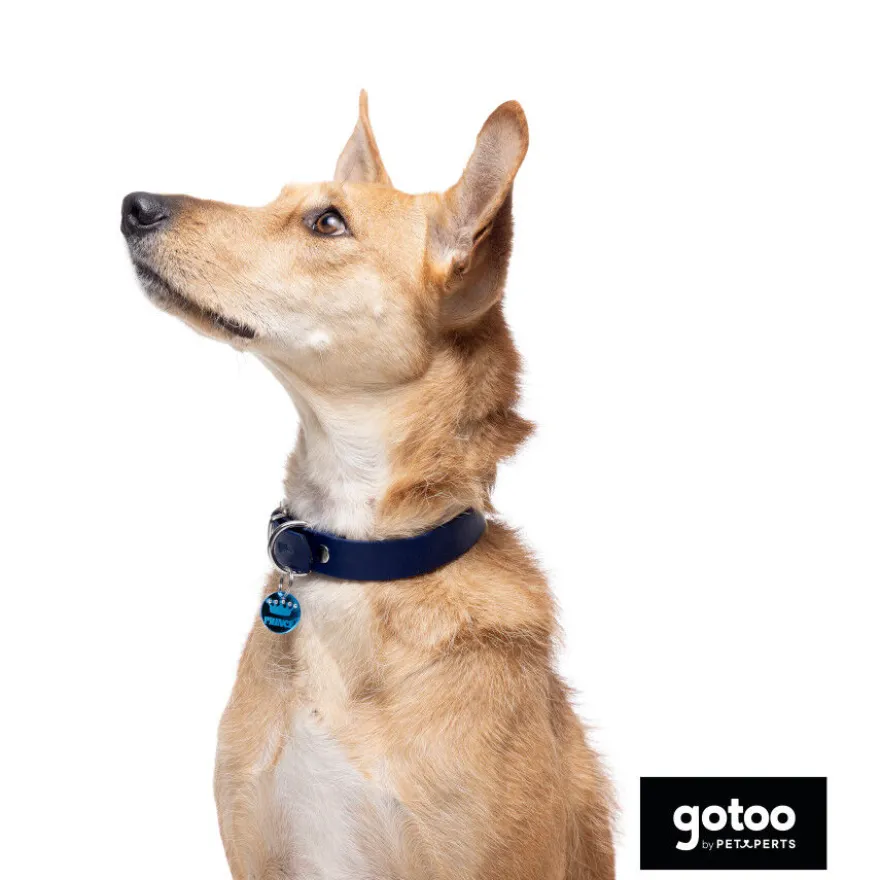 Gotoo Collar Biothane azul para perros