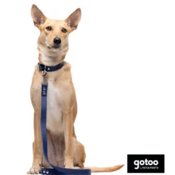 Gotoo Collar Biothane azul para perros