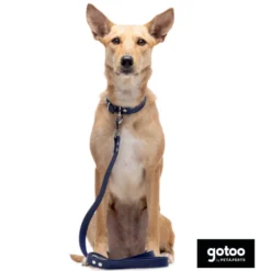 Gotoo Collar Biothane azul para perros
