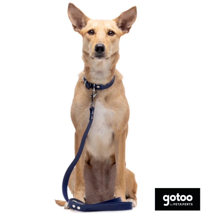Gotoo Collar Biothane azul para perros