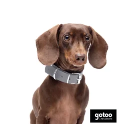 Gotoo Collar Biothane gris para perros