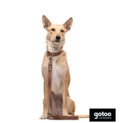 Gotoo Collar Biothane marrón para perros
