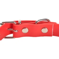 Gotoo Collar Biothane rojo para perros