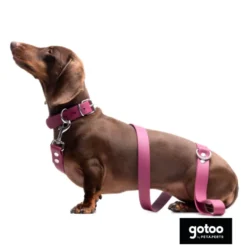 Gotoo Collar Biothane rojo vino para perros