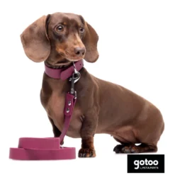 Gotoo Collar Biothane rojo vino para perros