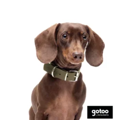 Gotoo Collar Biothane verde oliva para perros