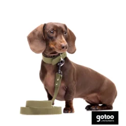 Gotoo Collar Biothane verde oliva para perros