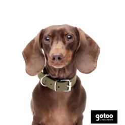 Gotoo Collar Biothane verde oliva para perros