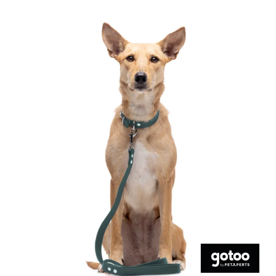 Gotoo Collar Biothane verde para perros