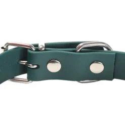 Gotoo Collar Biothane verde para perros