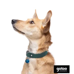 Gotoo Collar Biothane verde para perros