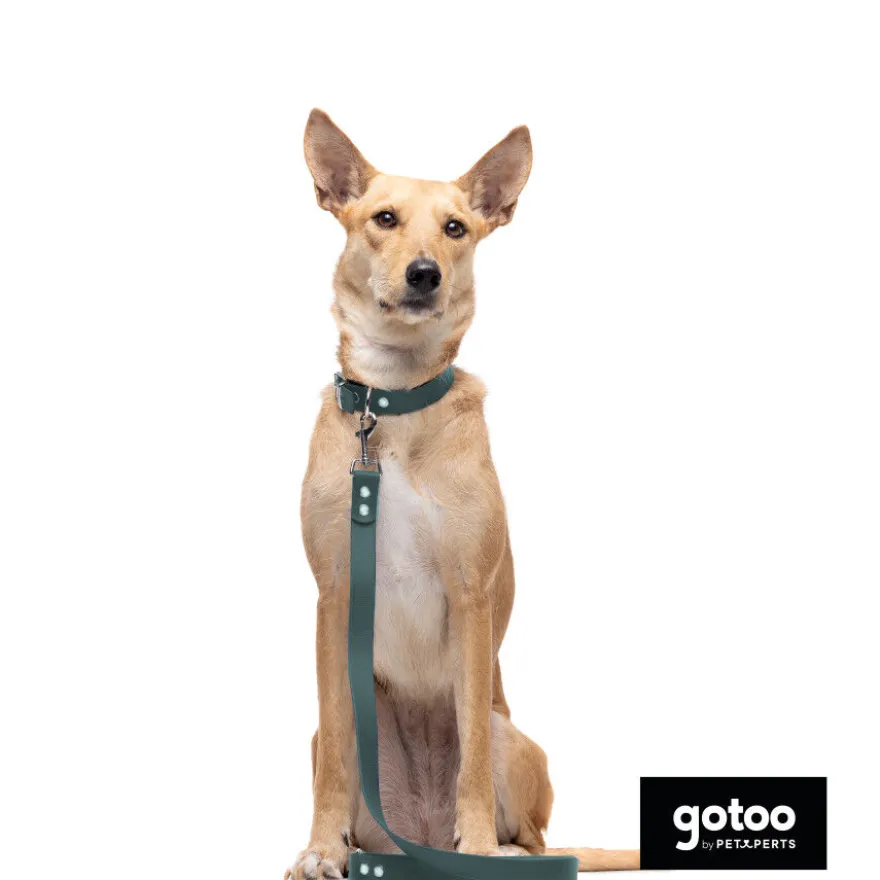 Gotoo Collar Biothane verde para perros