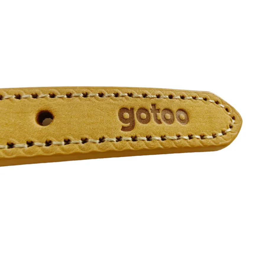 Gotoo Collar cuero verde para perros