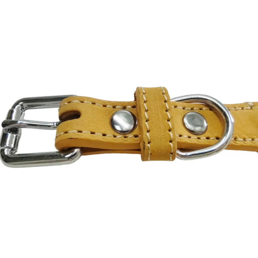 Gotoo Collar cuero verde para perros