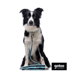 Gotoo collar de malla transpirable turquesa para perros