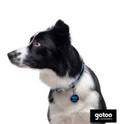 Gotoo collar de malla transpirable turquesa para perros