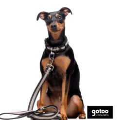 Gotoo Collar de malla transpirable gris para perros