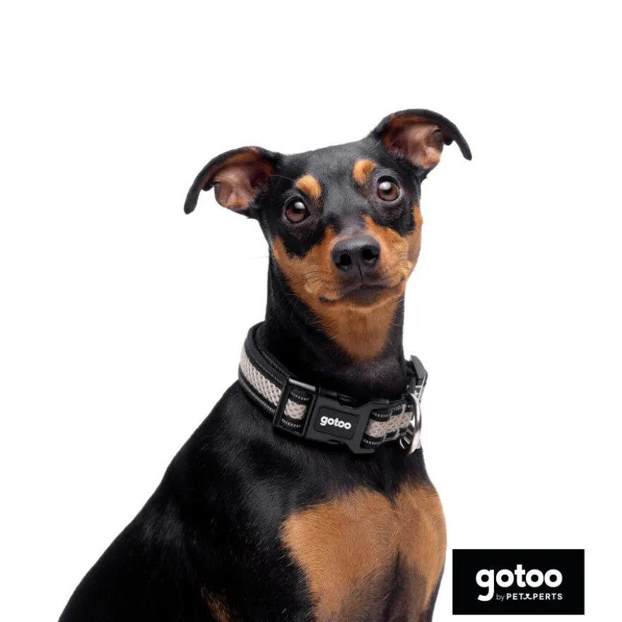Gotoo Collar de malla transpirable gris para perros